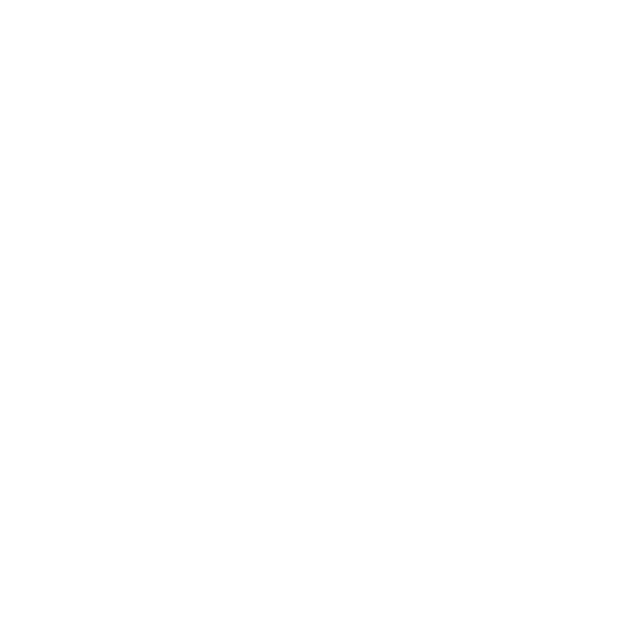 Disclaimer Icon